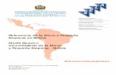 Relevancia de la Micro y Pequeña Empresa en Bolivia ...