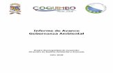 Informe de Avance Gobernanza Ambiental