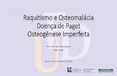 Raquitismo e Osteomalácia Doença de Paget Osteogênese ...