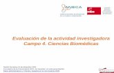 Evaluación de la actividad investigadora Campo 4. Ciencias ...