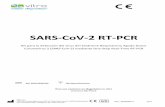 SARS-CoV-2 RT-PCR