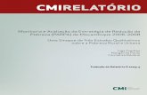 TraduçãoFin R 2009-5 - CMI (Chr. Michelsen Institute)