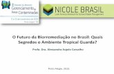 O Futuro da Biorremediação no Brasil: Quais Segredos o ...