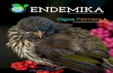 Cigua Palmera - endemika.org.do