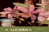A Liahona - Abril/1966 Vol. 19 Nº 4 - Seq. 000