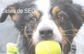 SEO - Palestra de SEO SearchMasters Brasil 2014 - Cases de SEO