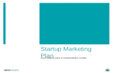 Startup Marketing Plan: Guia Básica para el emprendedor novato.