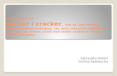 Hacker i cracker
