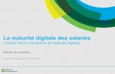 Harris interactive maturite_digitale_des_salaries