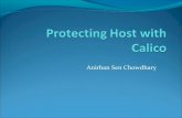 Protecting host with calico