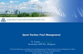 Spent Nuclear Fuel Management - International Atomic ... Cycle Strategies and Options for the Management of Spent Nuclear Fuel and Radioactive Waste for Countries Embarking on the