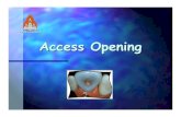 Access Opening - มหาวิทยาลัยขอนแก่น .Principles of Access Opening