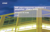 NIIF para empresas medianas y pequeñas  (SMEs IFRS)