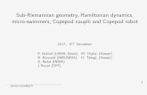 Sub-Riemannian geometry, Hamiltonian dynamics, micro ... Sub-Riemannian geometry, Hamiltonian dynamics,