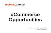 Latam eCommerce Opportunities - eCommerce Day Bogota