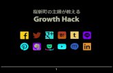 growth hacker