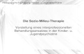 Workshop 3 sozio milieu therapie