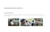 proyecto tortugas