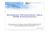 Analyse Financiere SSII