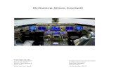 Project Glass Cockpit