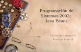 Programación de Sistemas 2003: Java Beans Christian Lalanne A. Rodrigo Pinto A.