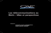 Bilan des telecommunications au Benin