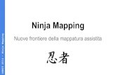 Ninja mapping