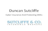 Cyber Liability Insurance And Protecting SMEs