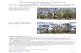 NSW Vegetation Classification - Vegetation ID NSW Vegetation Classification - Vegetation ID Vegetation